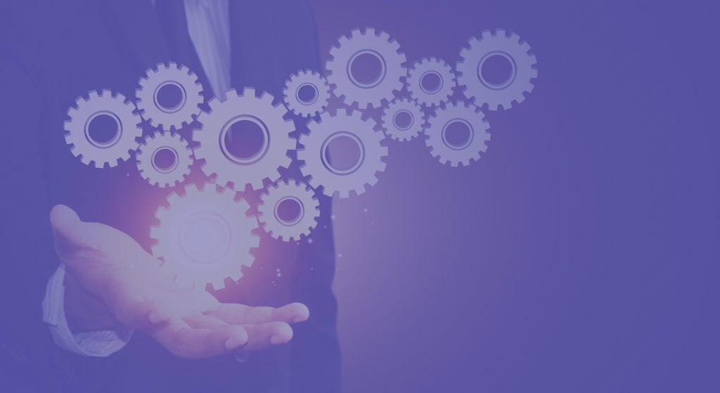 SOFTWARE IT ASSET MANAGEMENT ESSENTIALS