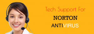 Norton