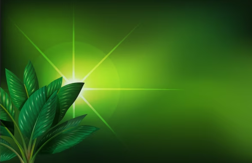 medical marijuana card