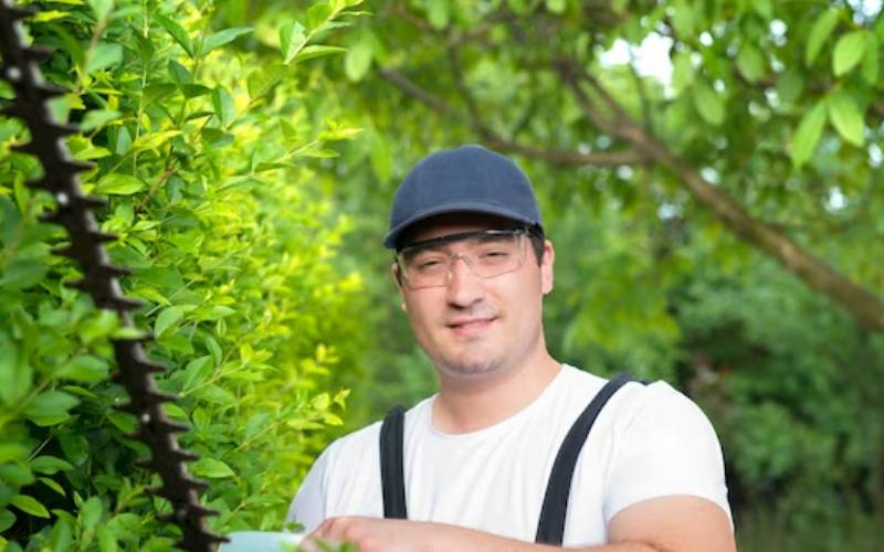 certified arborists in California