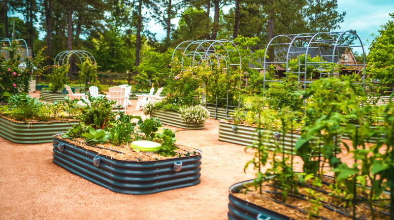 galvanized raised bed planter