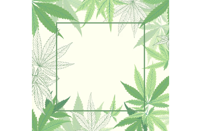 cannabis card