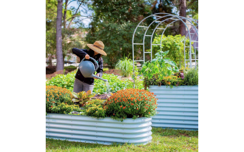 planter raised beds