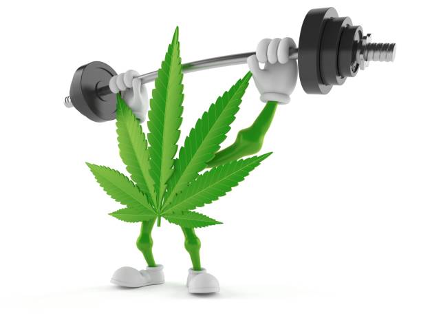 Cannabis Training