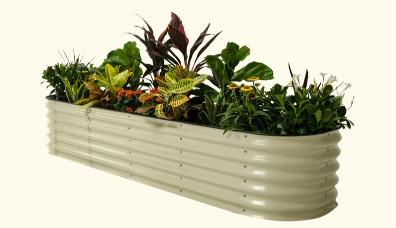 galvanized raised beds