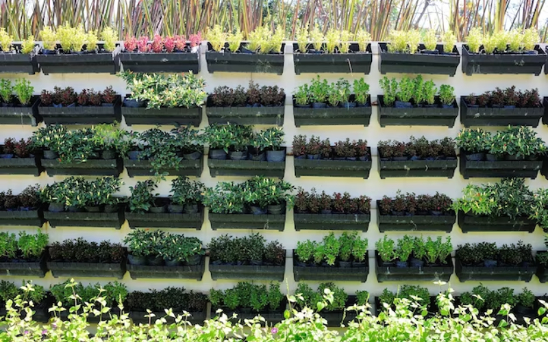 Raised Beds For Sale