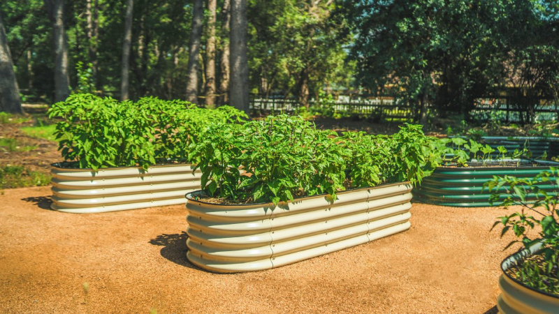 galvanized raised bed planter