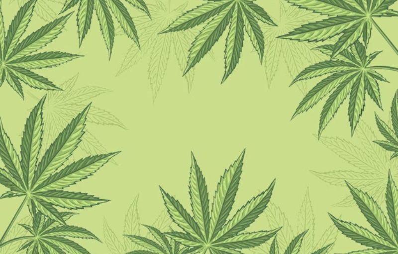 cannabis card