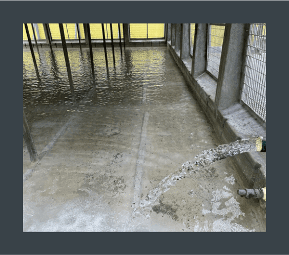 cooling tower water treatment