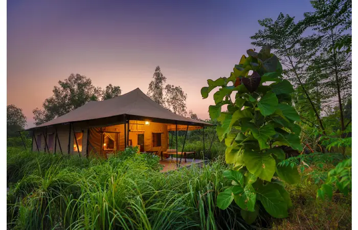 luxury villas in anjuna goa