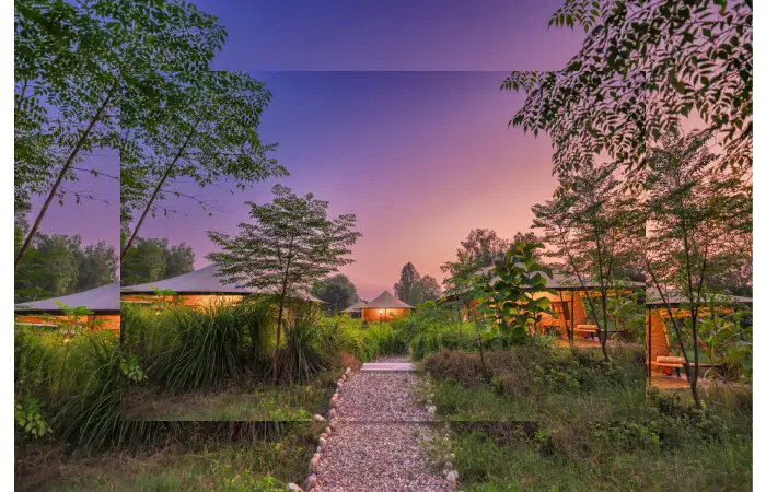 luxury villas in anjuna goa